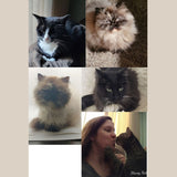 SEH Cat Care Visit (30 Minutes)